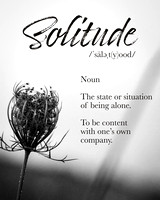 Solitude 4x5 Ratio